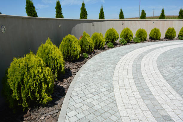 Best Commercial Driveway Paving in Puxico, MO